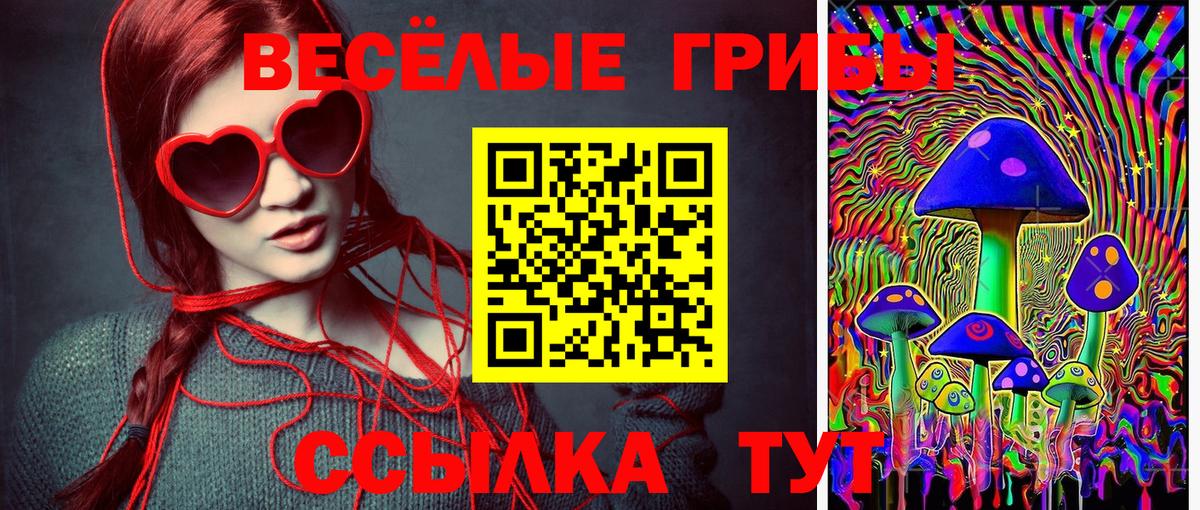 Галлюциногенные грибы Psilocybine cubensis Юрга